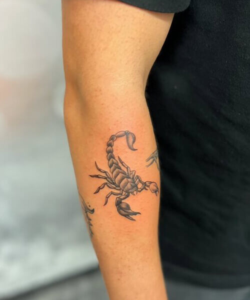 tatuaż motyw zwierzęcy skorpion